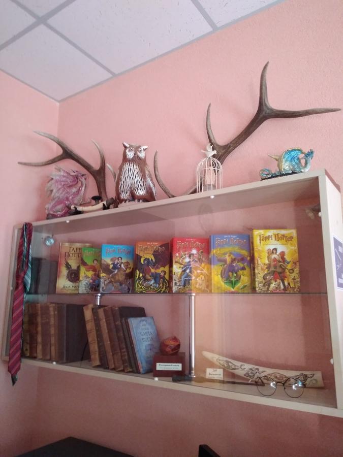 У Поттера Hostel Ternopil Buitenkant foto